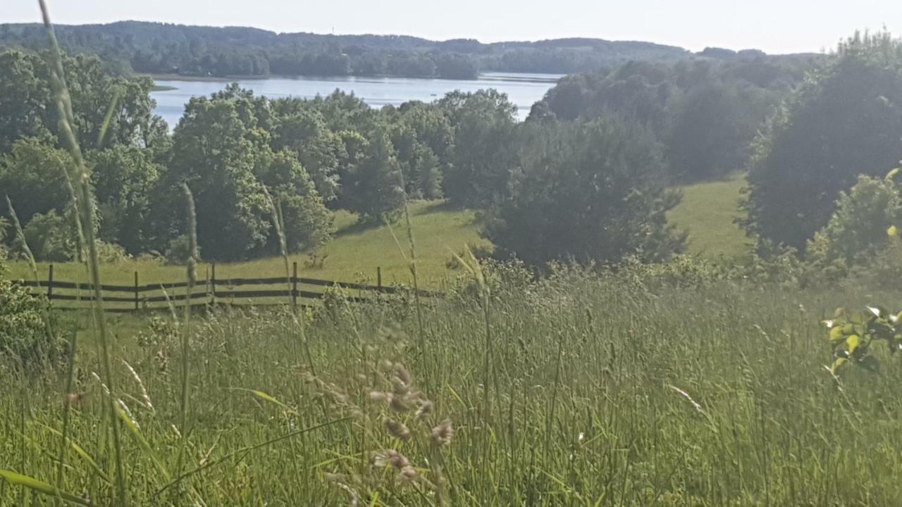 Villa Mlyn Z Pasja Gaski  Exterior foto